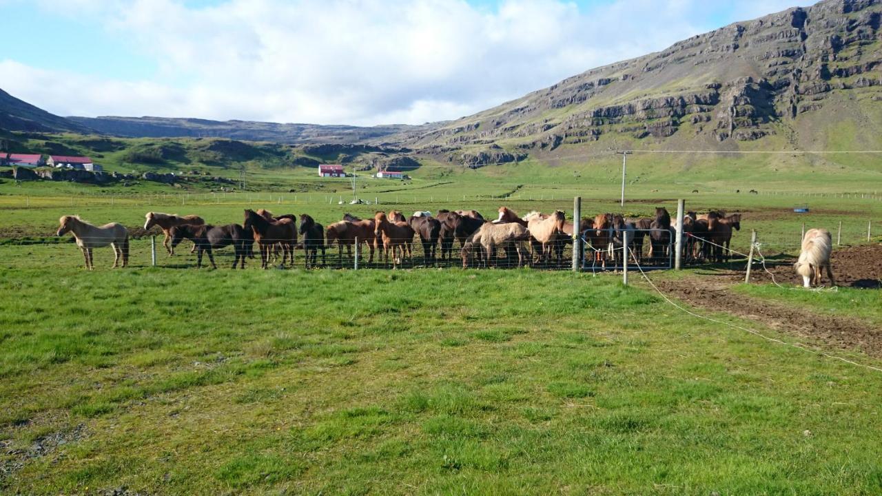 Laekjarhus Farm Holidays Borgarhöfn Екстериор снимка